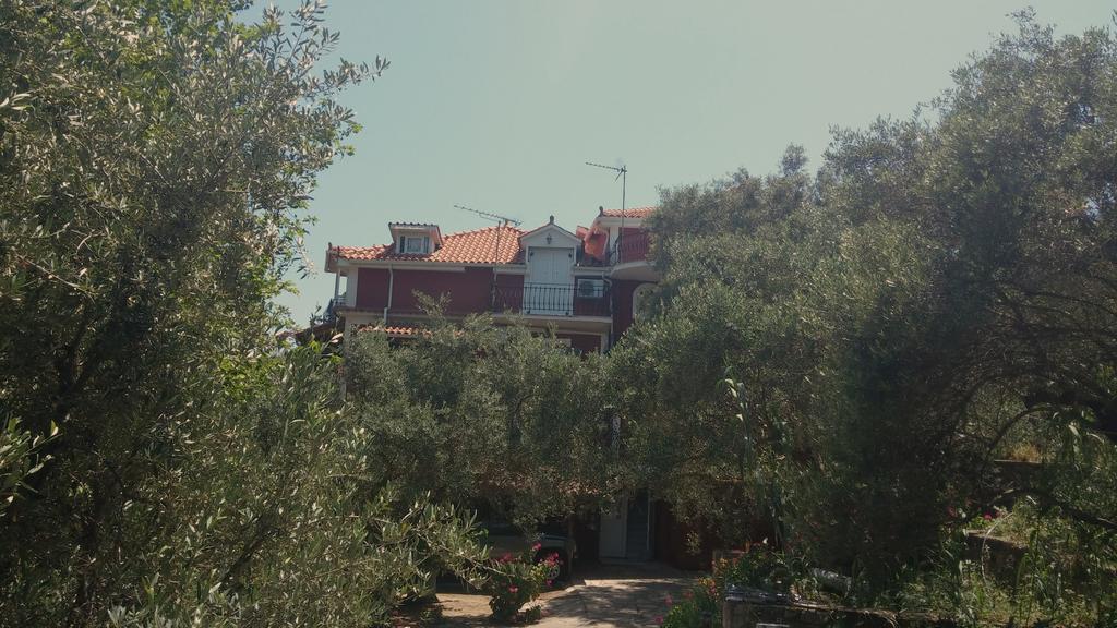 Belvedere Zakynthos Studios Vasilikí Екстериор снимка